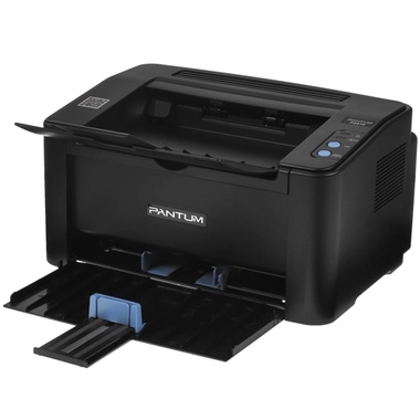 Принтер лазерный Pantum P2516 черно-белый, цвет: черный